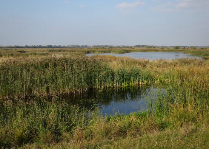Ouse Fen, Grande-Bretagne © Hugh Venables