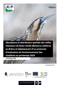 Abondance et distribution spatiale des mâles chanteurs de Butor étoilé en Brière et déploiement d’un protocole d’évaluation du fonctionnement des roselières au printemps 2023 – PNR de Brière