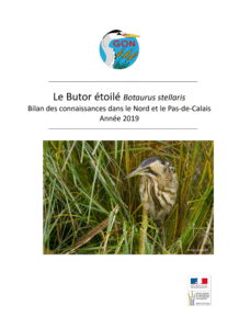 Bilan des connaissances sur le Butor étoilé dans le Nord et le Pas-de-Calais – GON