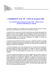 Avis relatif au PNA 2025-2034 en faveur du Butor étoilé – CNPN