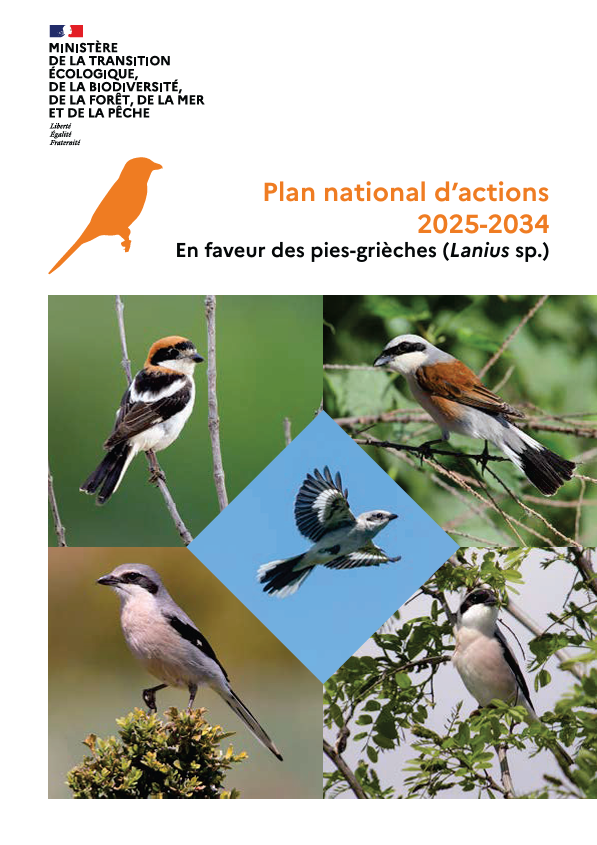 PNA Pies-grièches 2025-2034