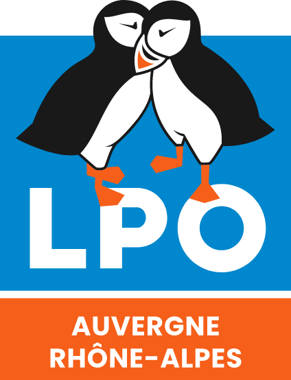 lpoaura