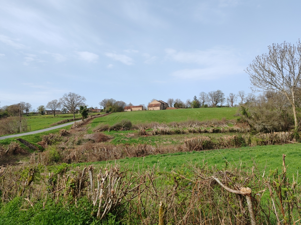 Réseau Haies France Passage de broyeur dégradant sur haies basses Broyage d'une haie © Raphaël Bussiere
