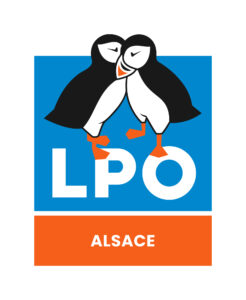 RVB_LPO_LOGOTYPE_ALSACE