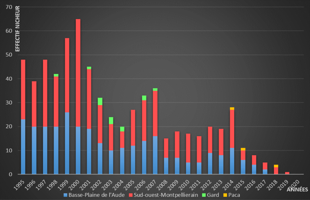 Monitoring des populations nicheuses de Pie-grièche à poitrine rose en France depuis 1995 (Réalisation : LPO & GOR).