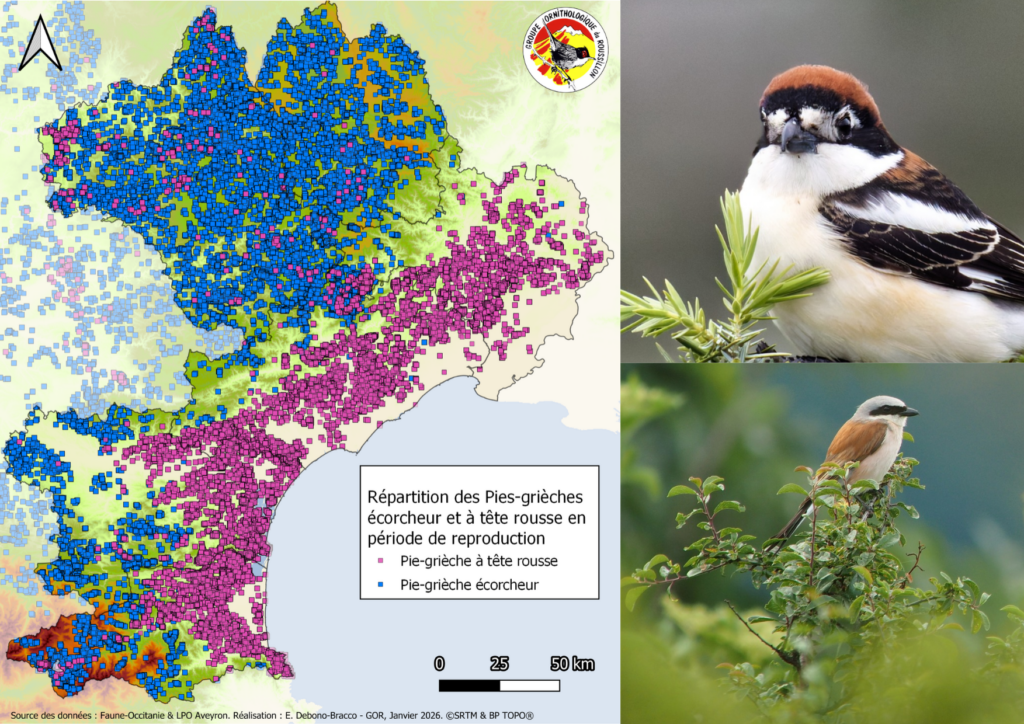 habitat causse (3)